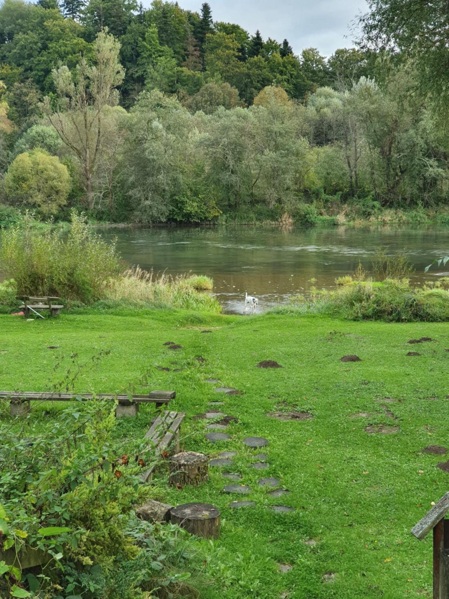 Osada Zaluz Holiday home Sanok